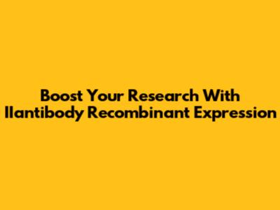 Boost Your Research With IIantibody Recombinant Expression