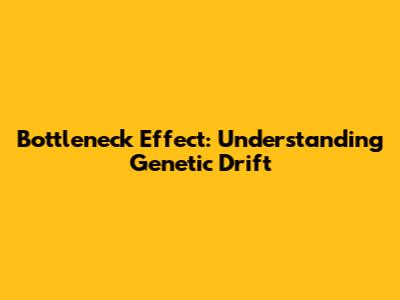 Bottleneck Effect: Understanding Genetic Drift