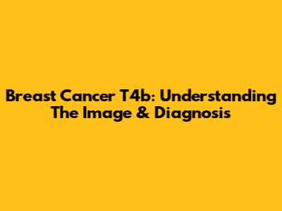 Breast Cancer T4b: Understanding The Image & Diagnosis