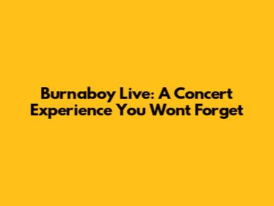 Burnaboy Live: A Concert Experience You Won't Forget