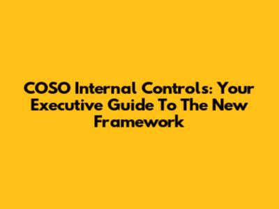 COSO Internal Controls: Your Executive Guide To The New Framework