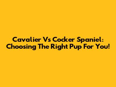 Cavalier Vs Cocker Spaniel: Choosing The Right Pup For You!