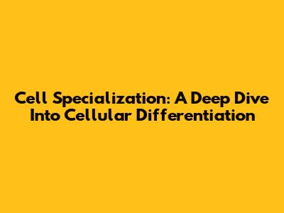 Cell Specialization: A Deep Dive Into Cellular Differentiation