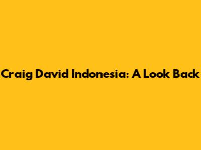 Craig David Indonesia: A Look Back