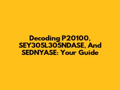 Decoding P20100, SEY305L305NDASE, And SEDNYASE: Your Guide