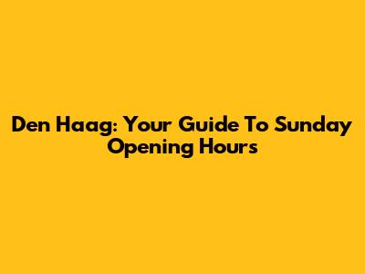 Den Haag: Your Guide To Sunday Opening Hours
