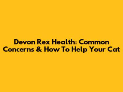 Devon Rex Health: Common Concerns & How To Help Your Cat