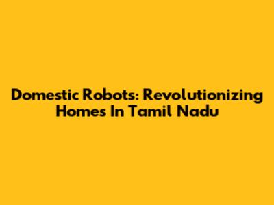 Domestic Robots: Revolutionizing Homes In Tamil Nadu