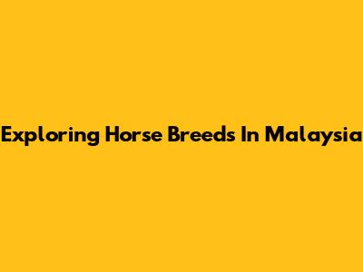 Exploring Horse Breeds In Malaysia