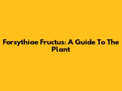 Forsythiae Fructus: A Guide To The Plant