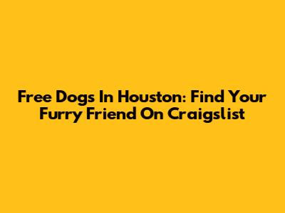 Free Dogs In Houston: Find Your Furry Friend On Craigslist