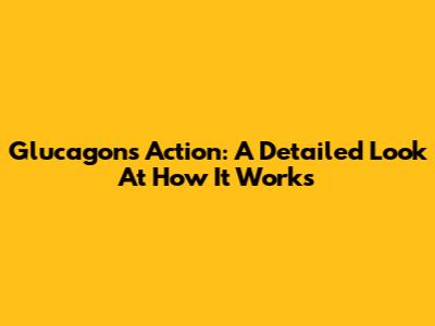Glucagon's Action: A Detailed Look At How It Works
