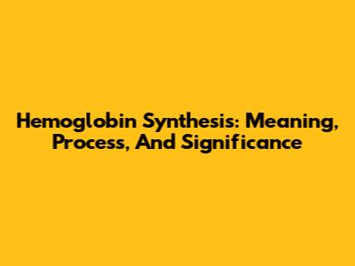 Hemoglobin Synthesis: Meaning, Process, And Significance