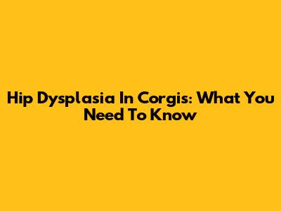 Hip Dysplasia In Corgis: What You Need To Know