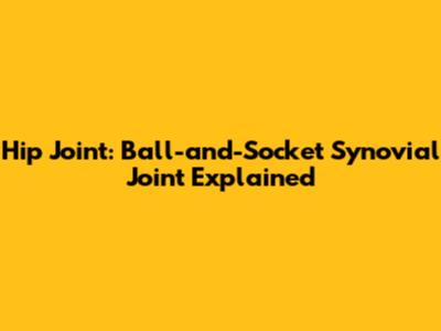 Hip Joint: Ball-and-Socket Synovial Joint Explained