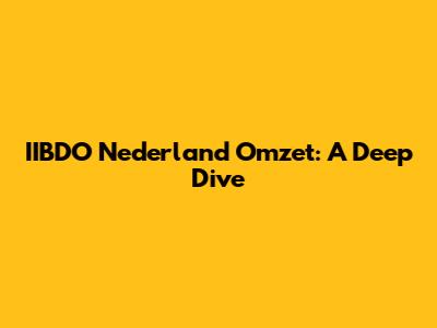 IIBDO Nederland Omzet: A Deep Dive