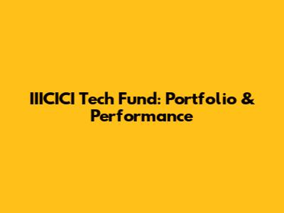 IIICICI Tech Fund: Portfolio & Performance