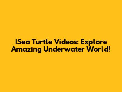 ISea Turtle Videos: Explore Amazing Underwater World!