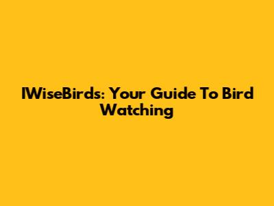 IWiseBirds: Your Guide To Bird Watching