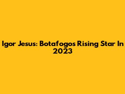 Igor Jesus: Botafogo's Rising Star In 2023