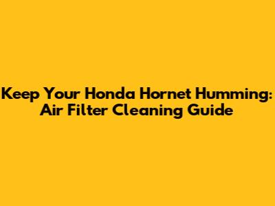 Keep Your Honda Hornet Humming: Air Filter Cleaning Guide