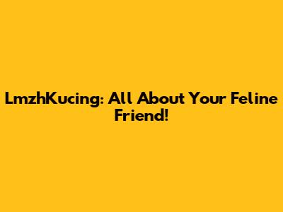 LmzhKucing: All About Your Feline Friend!