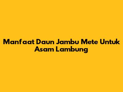 Manfaat Daun Jambu Mete Untuk Asam Lambung