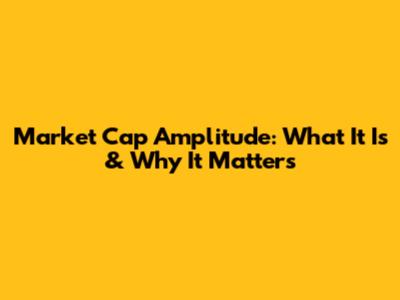 Market Cap Amplitude: What It Is & Why It Matters