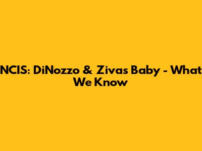 NCIS: DiNozzo & Ziva's Baby - What We Know