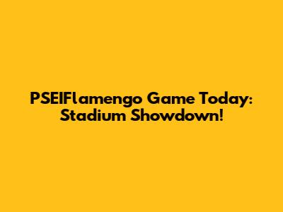 PSEIFlamengo Game Today: Stadium Showdown!