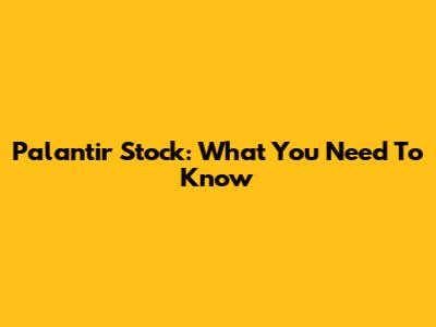 Palantir Stock: What You Need To Know