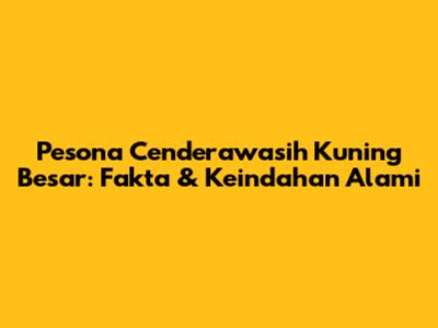 Pesona Cenderawasih Kuning Besar: Fakta & Keindahan Alami