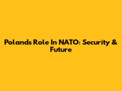 Poland's Role In NATO: Security & Future