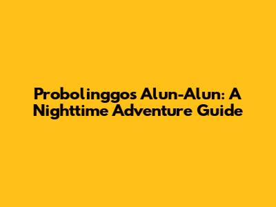 Probolinggo's Alun-Alun: A Nighttime Adventure Guide