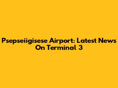 Psepseiigisese Airport: Latest News On Terminal 3