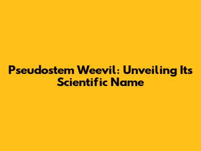 Pseudostem Weevil: Unveiling Its Scientific Name