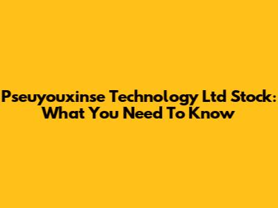Pseuyouxinse Technology Ltd Stock: What You Need To Know