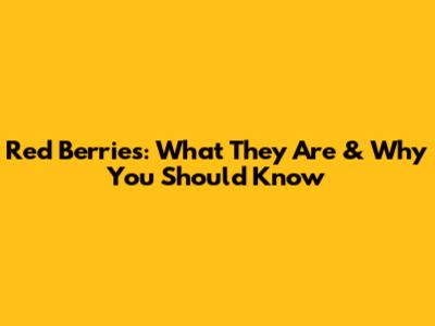 Red Berries: What They Are & Why You Should Know