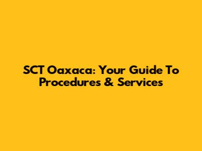 SCT Oaxaca: Your Guide To Procedures & Services