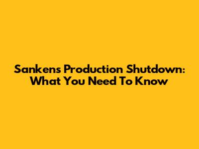 Sanken's Production Shutdown: What You Need To Know