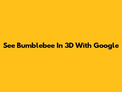 See Bumblebee In 3D With Google