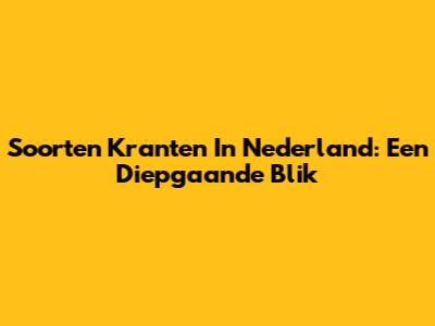 Soorten Kranten In Nederland: Een Diepgaande Blik