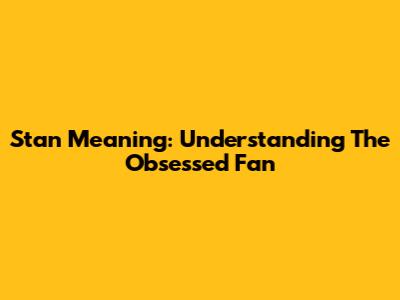 Stan Meaning: Understanding The Obsessed Fan