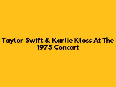 Taylor Swift & Karlie Kloss At The 1975 Concert