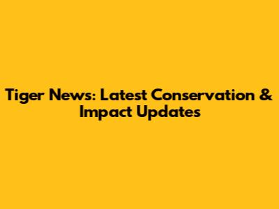 Tiger News: Latest Conservation & Impact Updates