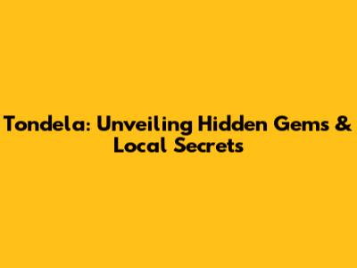 Tondela: Unveiling Hidden Gems & Local Secrets