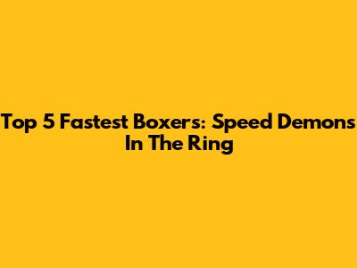 Top 5 Fastest Boxers: Speed Demons In The Ring