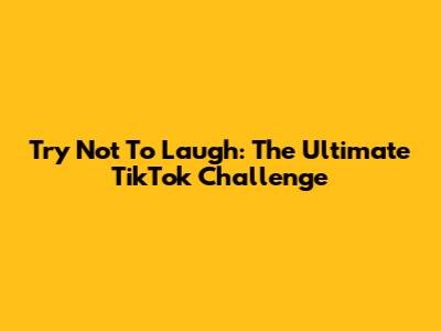Try Not To Laugh: The Ultimate TikTok Challenge