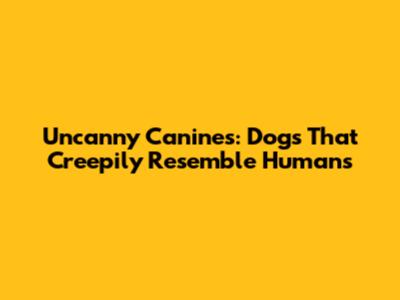 Uncanny Canines: Dogs That Creepily Resemble Humans
