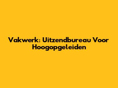 Vakwerk: Uitzendbureau Voor Hoogopgeleiden